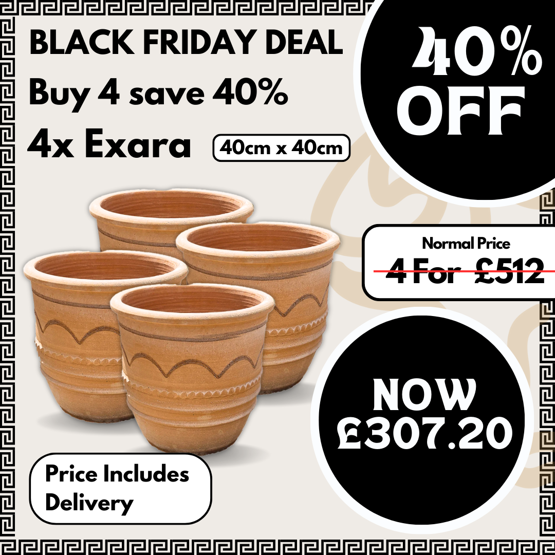 4x Exara 40x40cm Bundle