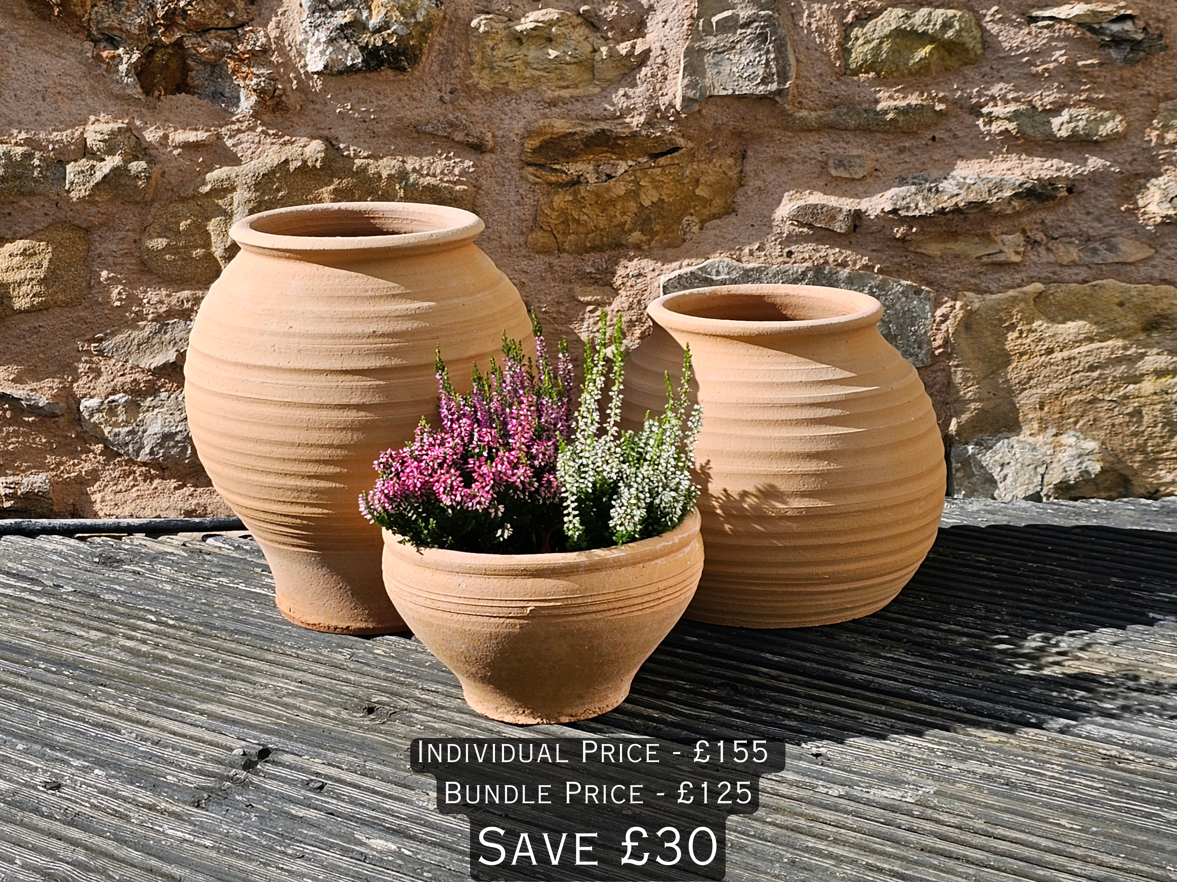 Koronaki, Eri & Mini Plake planted terracotta pots