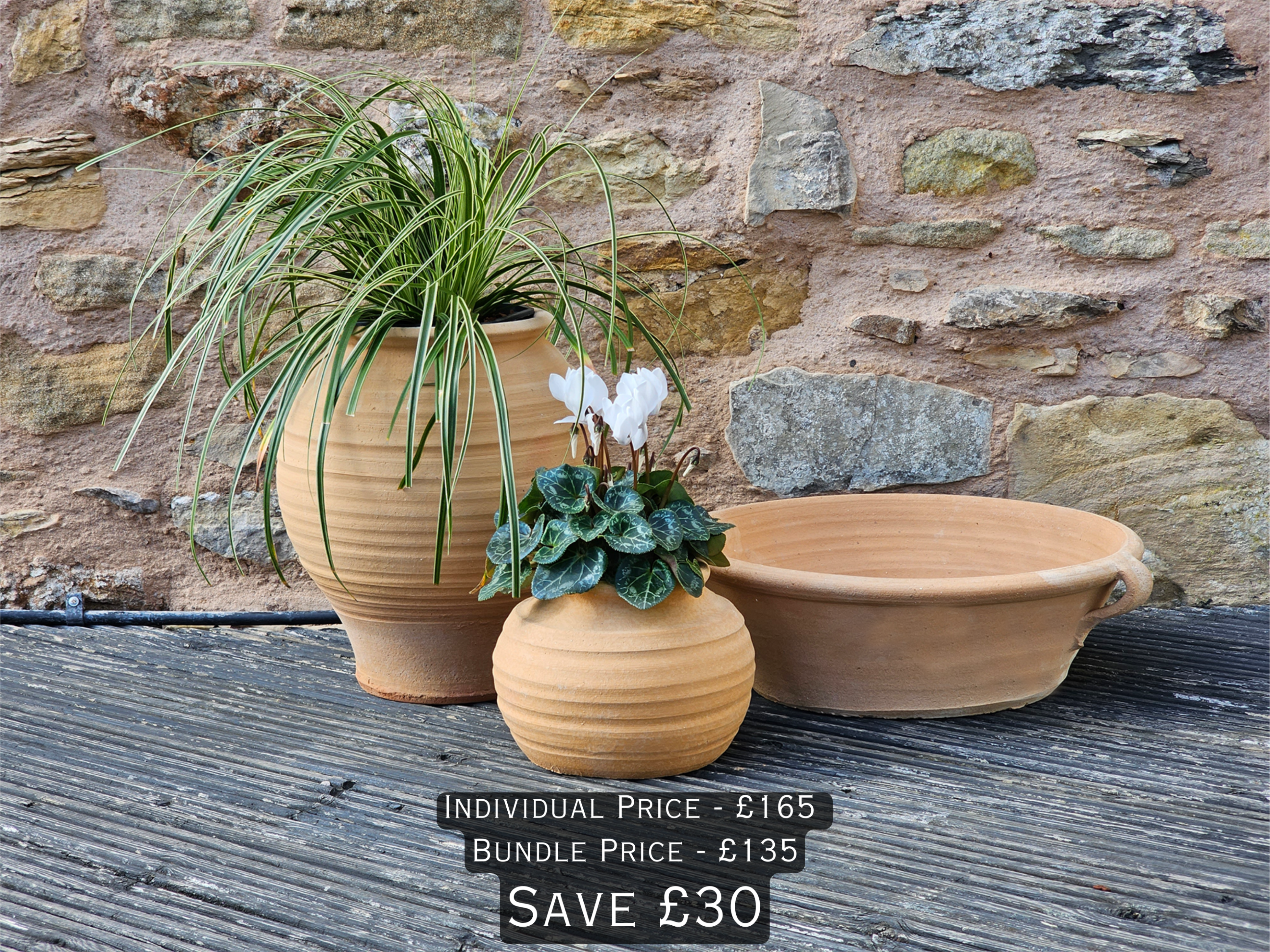 Koronaki, Mini Plake, Lekanida planted Cretan Terracotta pots
