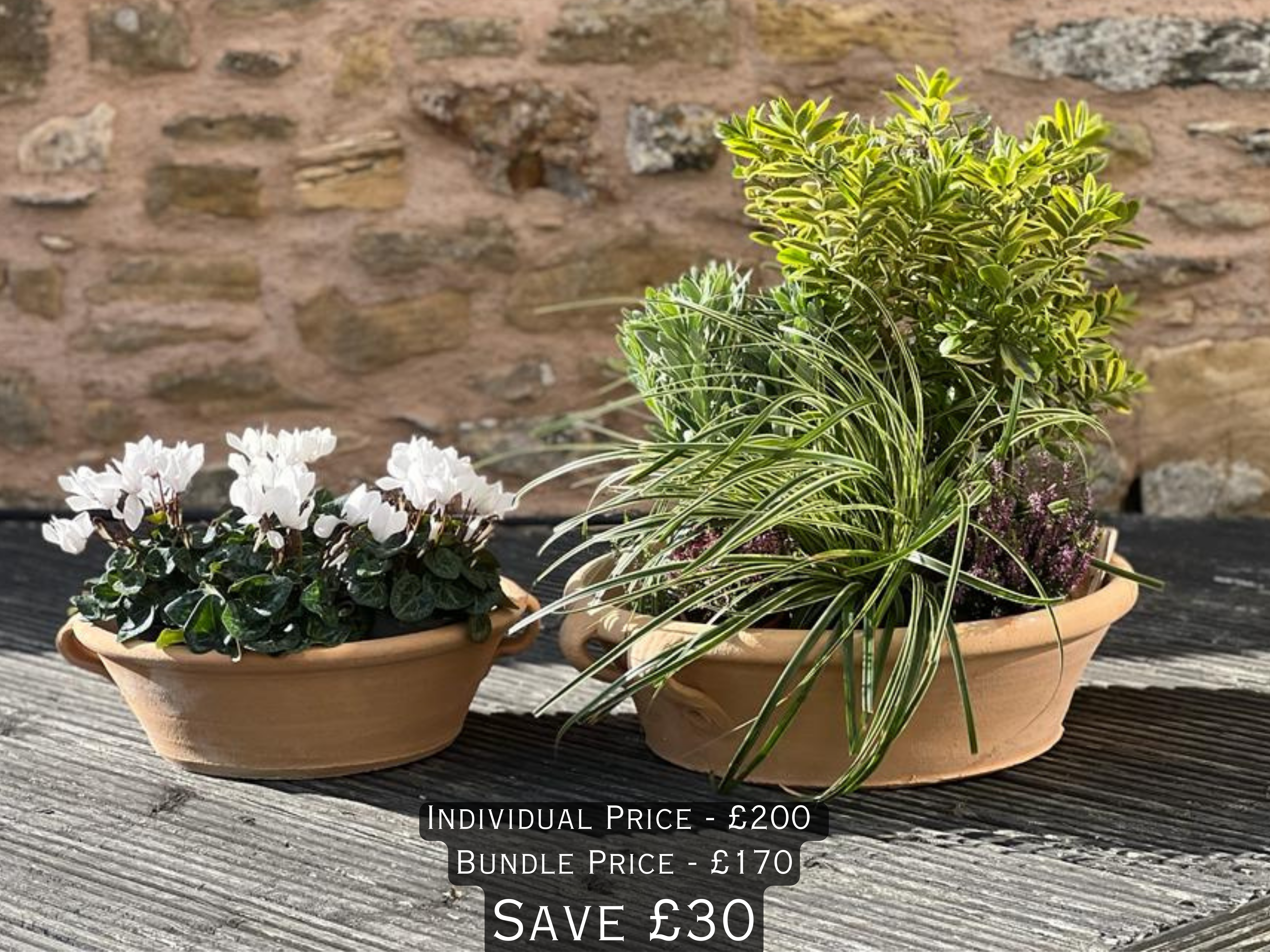 Lekanida Cretan terracotta Pots planted
