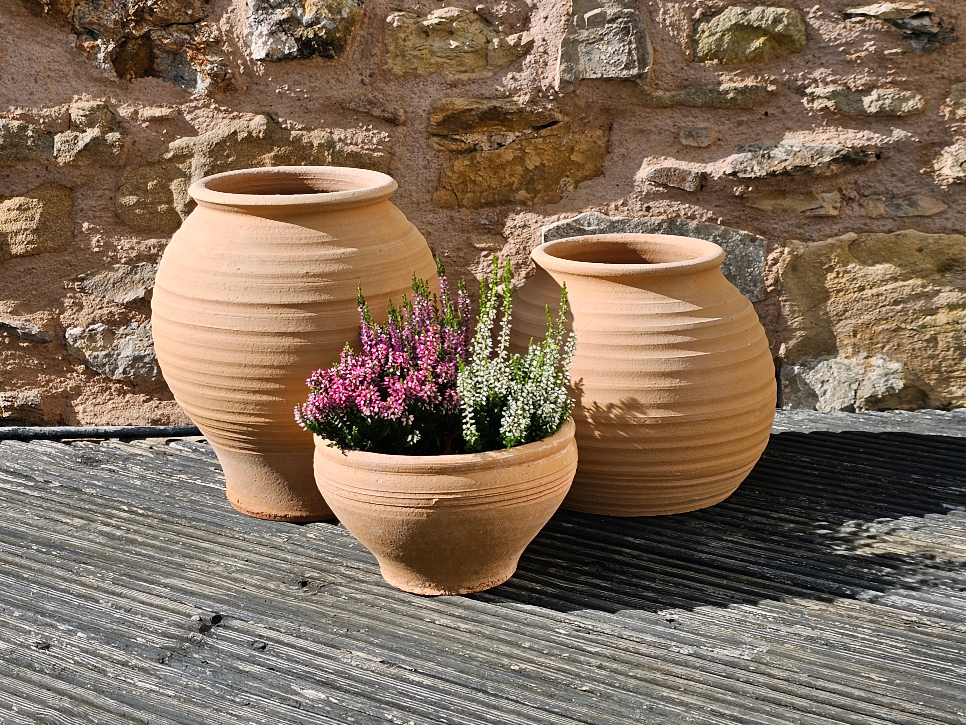 Koronaki, Eri & Mini Plake planted terracotta pots
