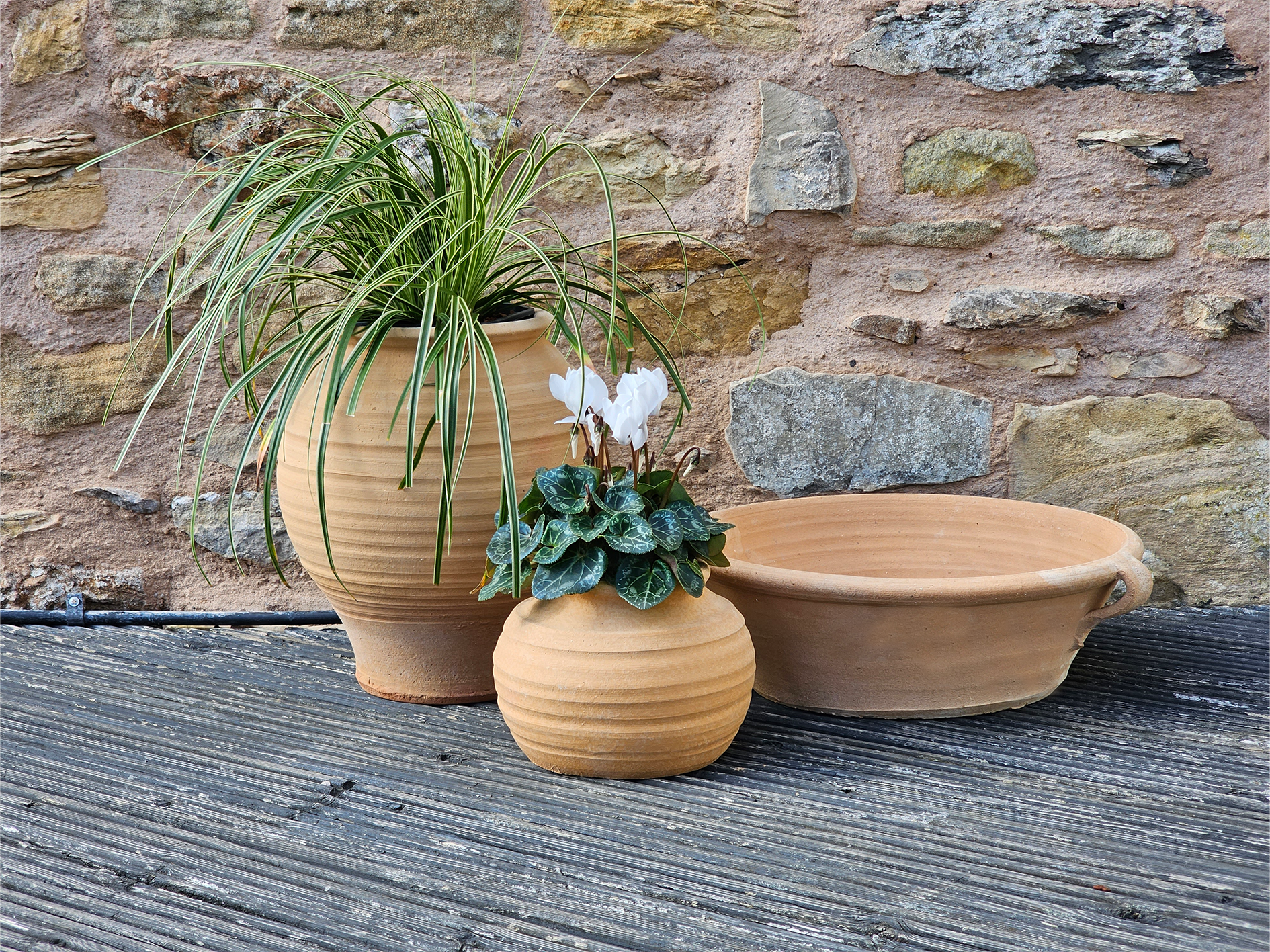 Koronaki, Mini Plake, Lekanida planted Cretan Terracotta pots