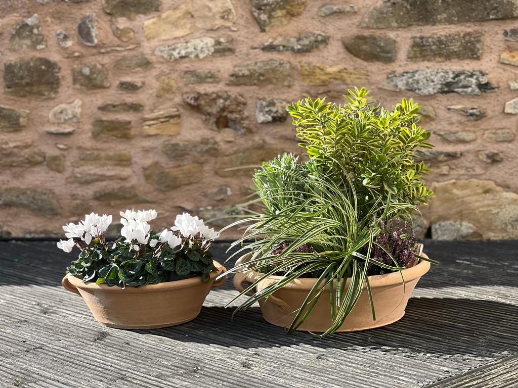 Lekanida Cretan terracotta Pots planted