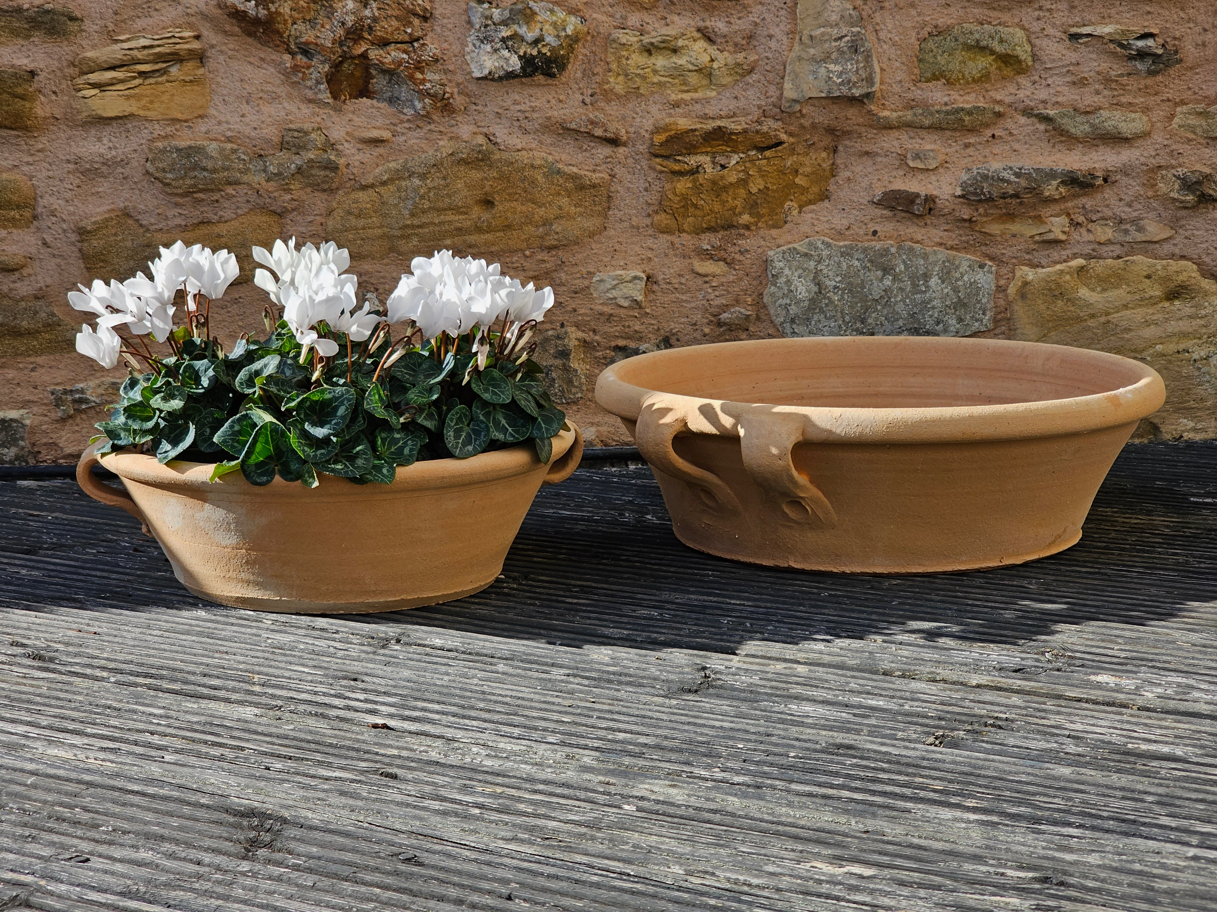 Lekanida Cretan terracotta Pots planted