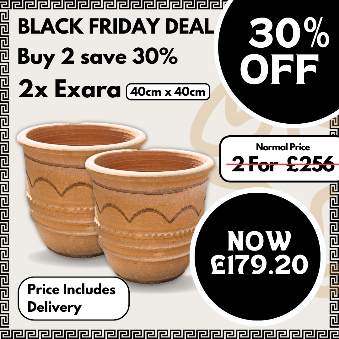 2x Exara 40x40cm Bundle