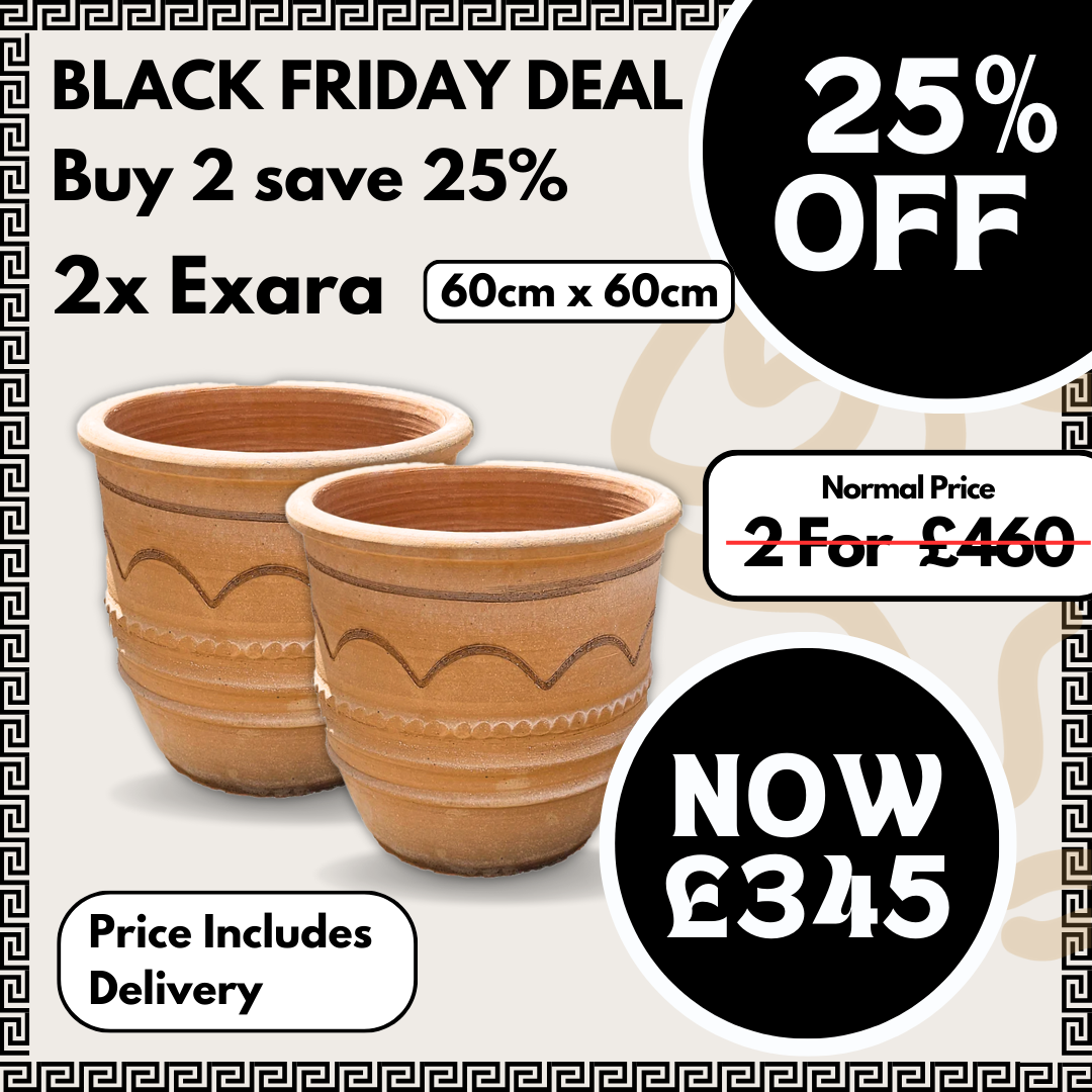 2x Exara 60x60cm Bundle