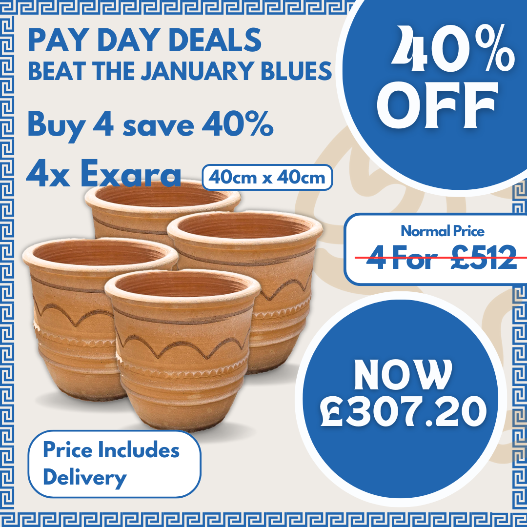 4x Exara 40x40cm Bundle